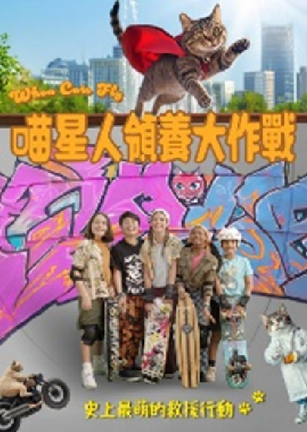 喵星人領養大作戰
